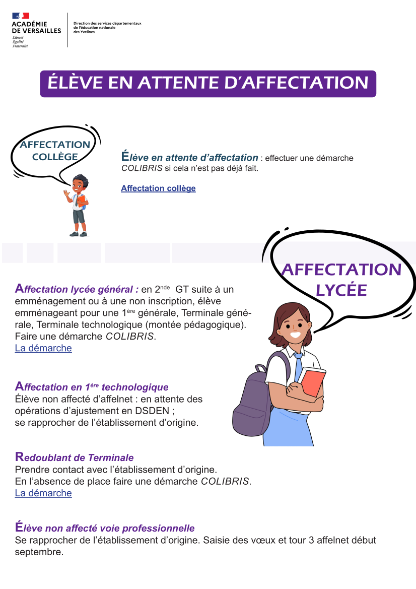 Infographie de l'affectation dans les établissements des Yvelines