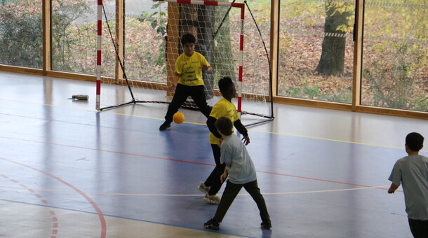 But de Handball marqué